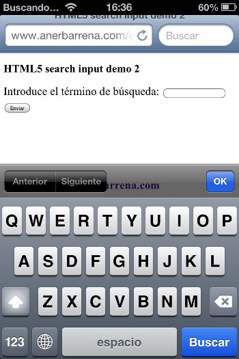 html5 search input iphone